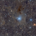 NGC7023 - Irisnebel