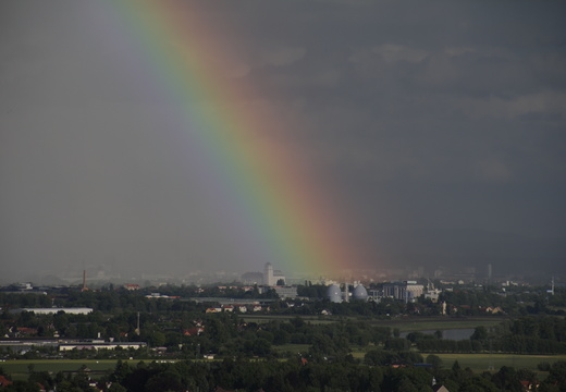 Regenbogen über Dresden