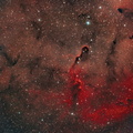 IC1396 Elefantenrüssel-Nebel