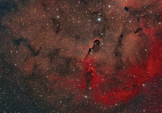 IC1396 Elefantenrüssel-Nebel
