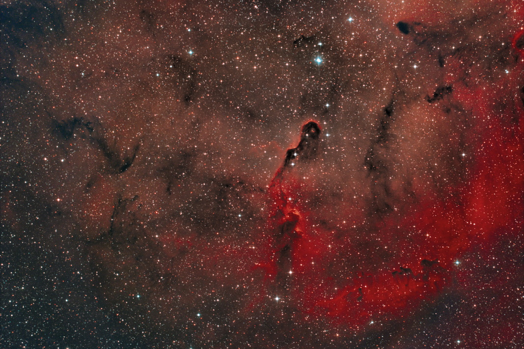 2022. 09. 30 IC1396 Elefantenrüssel-Nebel7GIMP.jpg