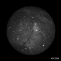 NGC2264 - 300mm