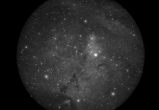 NGC2264 - 300mm