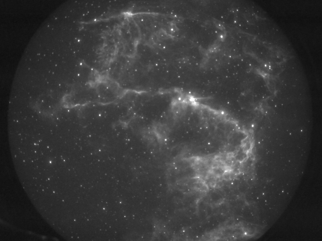 Cirrus Nebel - 24" f/3.8