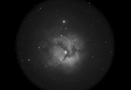 Trifid Nebel - 24" f/3.8