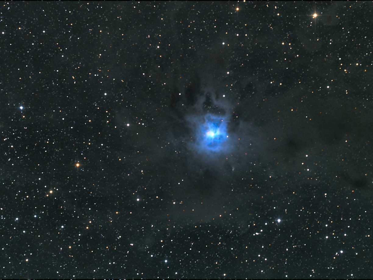 NGC7023 Iris-Nebel