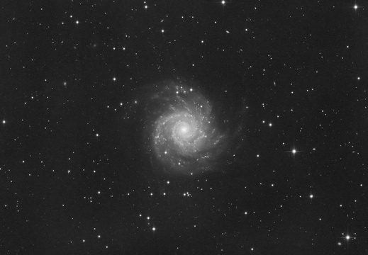 Galaxie M74