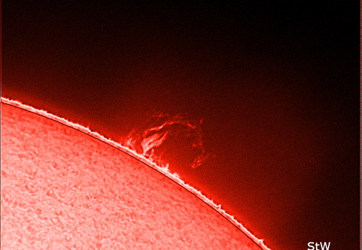 Sonne / Eruptive Loop-Protuberanz und Spikulen am Rand