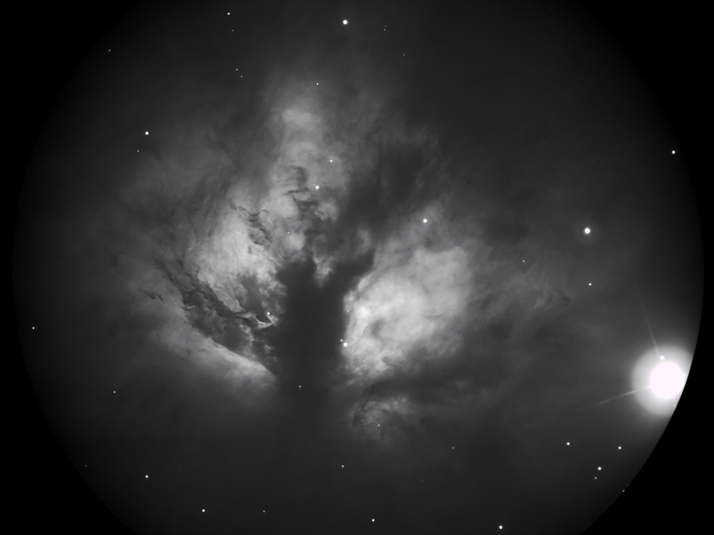 NGC2024