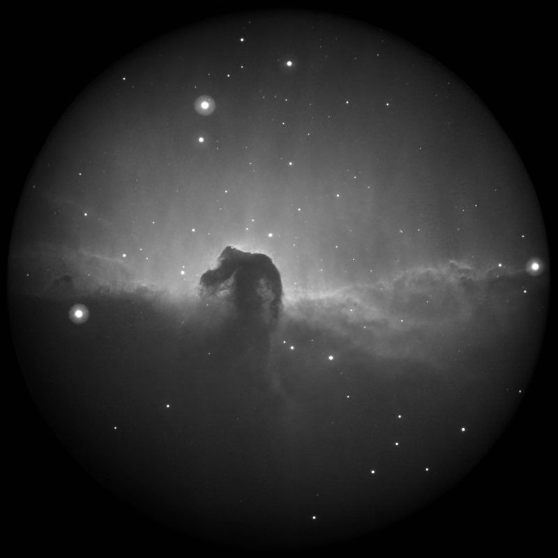 HorseHead.png