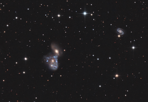 NGC 2445 