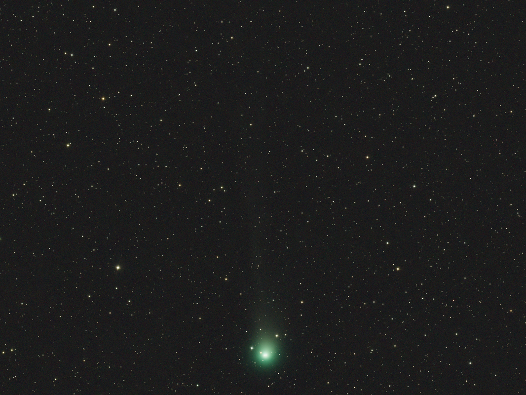 Komet 12P/Pons-Brooks