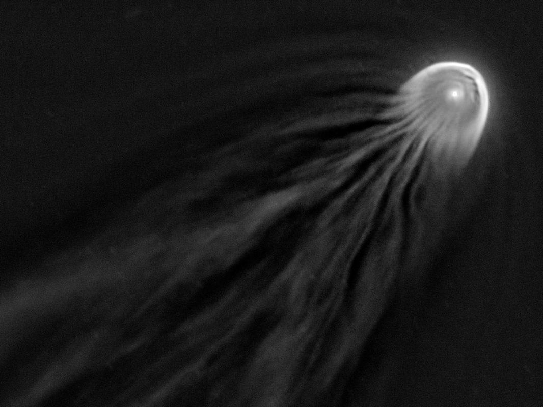 Komet Pons mit Kernstrukturen
