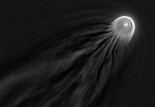 Komet Pons mit Kernstrukturen