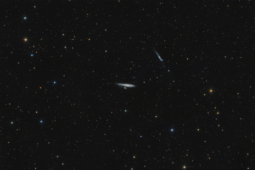 ngc4631.jpg