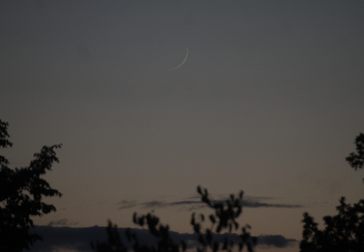 Schmale Mondsichel am 26.06.2025