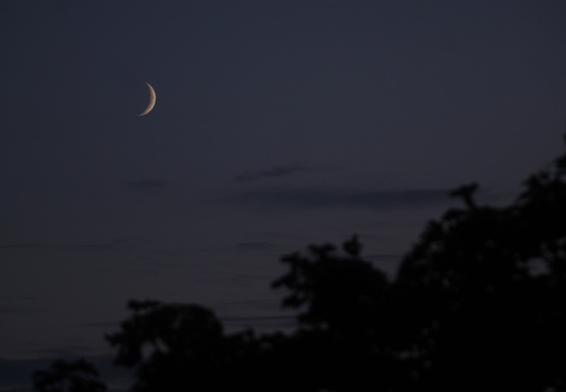 Mondsichel am 28.Juli 2025