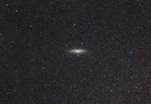 M31
