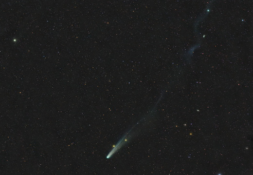 Komet Lemmon mit 16° Schweif