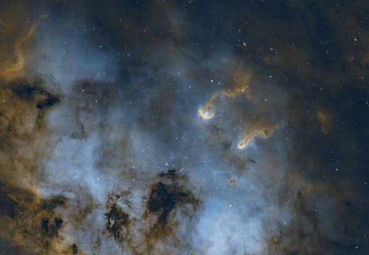 Kaulquappennebel IC410