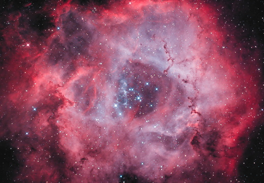 Rosetten-Nebel NGC2244