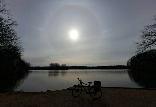 22°Ring am Frauenteich (zum Frauentag)