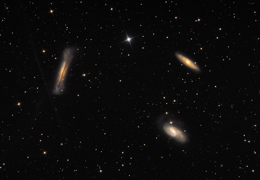 Leo-Triplett 