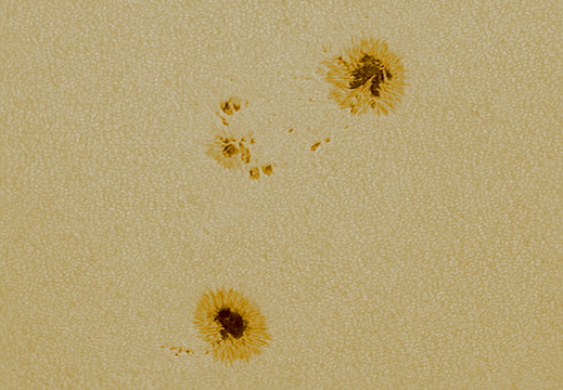 Sonnenfleckenregion AR14447