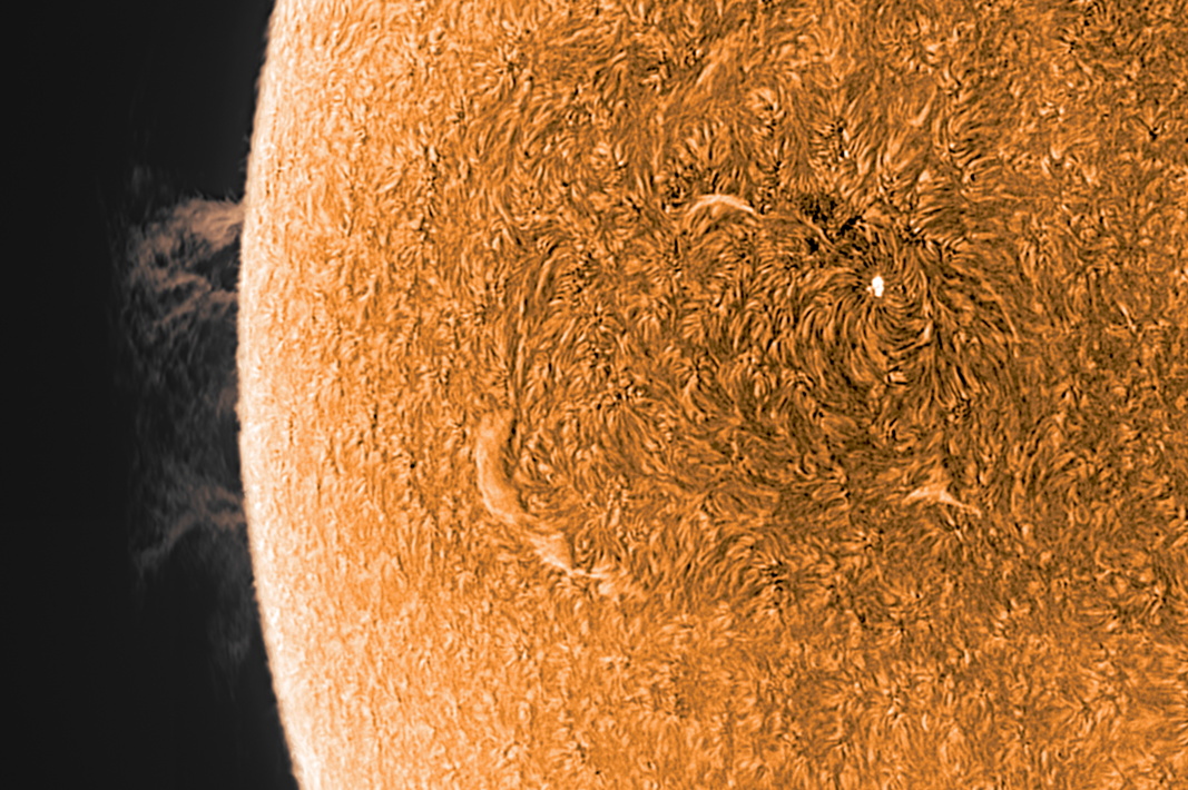 2026. 06. 08 Sonne 4 Daystar_114600.jpg