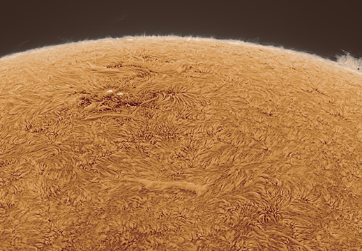 Sonne vom 19.06.2026