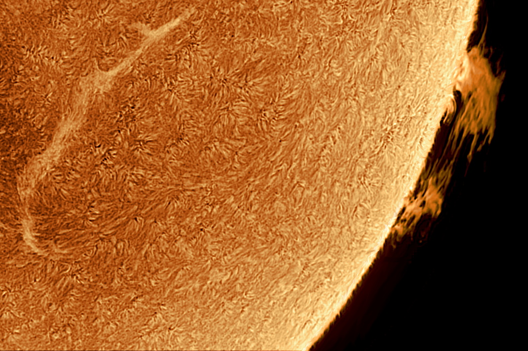 2026. 07. 12 Sonne_052123.jpg