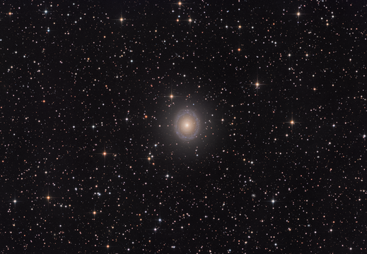NGC7217